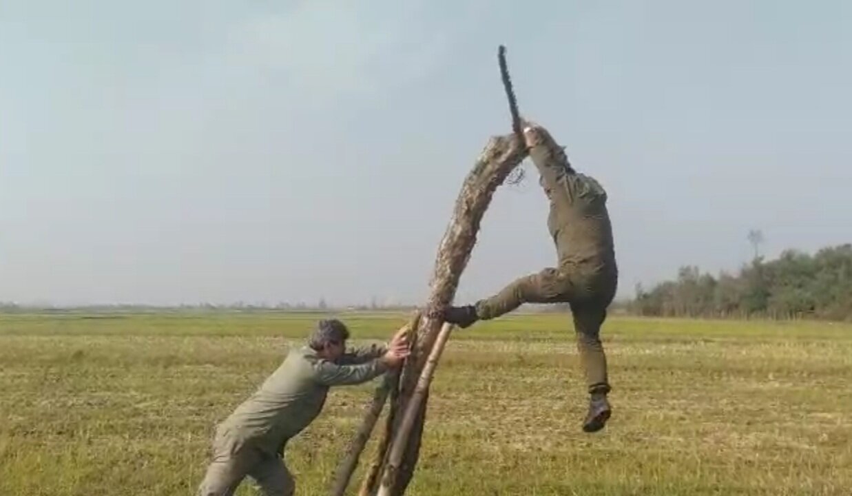 رخش بهار: تلههای زنده گیری پرندگان شکاری در پارک بوجاق جمع آوری شد رخش بهار: تلههای زنده گیری پرندگان شکاری در پارک بوجاق جمع آوری شد