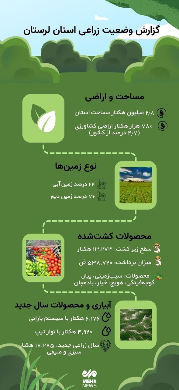 اینفوگرافیک؛ جزئیات کشت سبزی و صیفی در لرستان