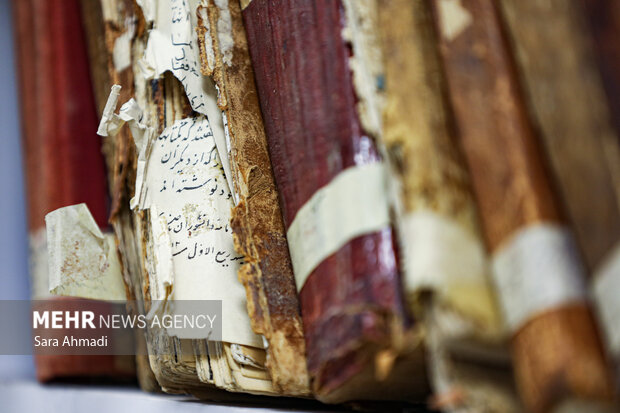 پویایی و سکوت؛ گشت‌وگذاری در قلب کتابخانه