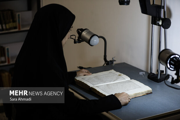 پویایی و سکوت؛ گشت‌وگذاری در قلب کتابخانه