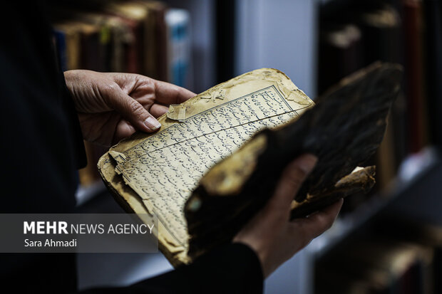 پویایی و سکوت؛ گشت‌وگذاری در قلب کتابخانه