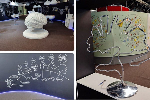 Tahran Kitap Bahçesi; Başkentte kültür, bilim ve yaşamın buluşma noktası