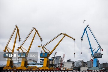 اصلاح آیین‌نامه کولبری و ملوانی در دستور کار دولت+ جزئیات