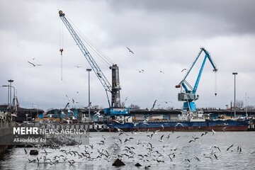 رشد صادرات ایران به کشورهای غرب آسیا