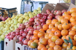 هر کیلو گرم خیار ۶۵ تا ۹۵ هزار تومان+جدول قیمت‌ها