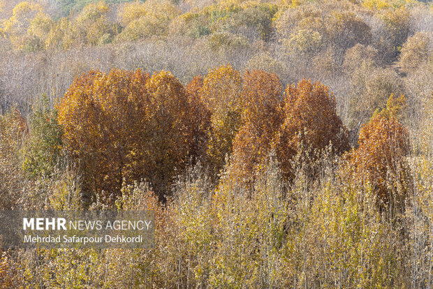 طبیعت پاییزی زاینده رود