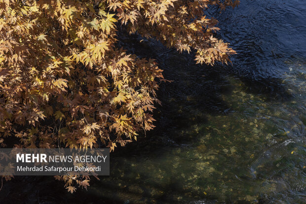 طبیعت پاییزی زاینده رود