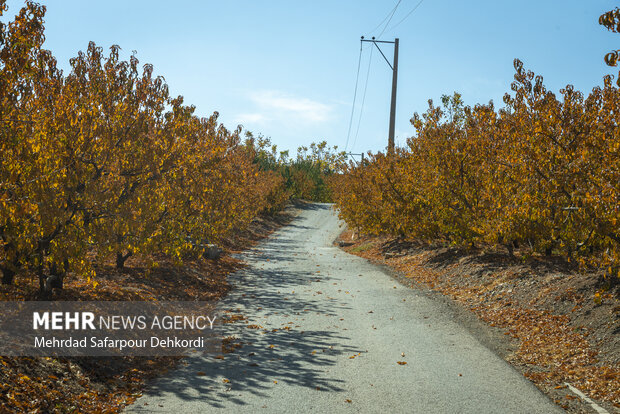 طبیعت پاییزی زاینده رود