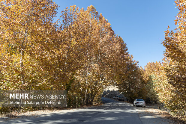 طبیعت پاییزی زاینده رود