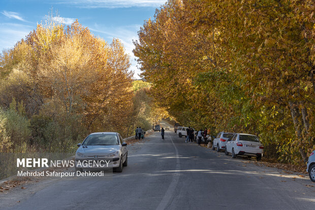 طبیعت پاییزی زاینده رود