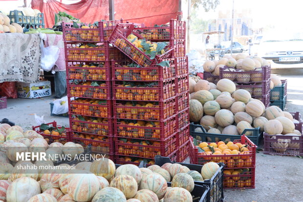 بازار میوه در شهر مرزی سراوان