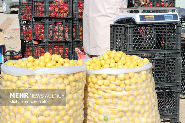 بازار میوه در شهر مرزی سراوان
