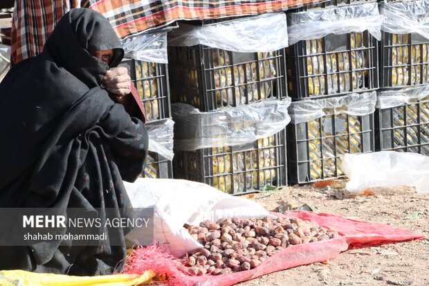 بازار میوه در شهر مرزی سراوان