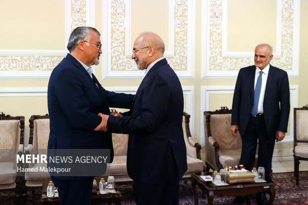 دیدار معاون سیاسی رئیس مجلس لبنان با محمدباقر قالیباف