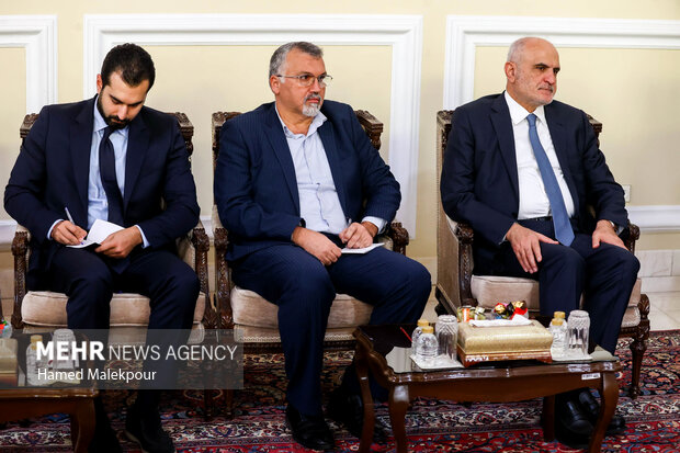 دیدار معاون سیاسی رئیس مجلس لبنان با محمدباقر قالیباف