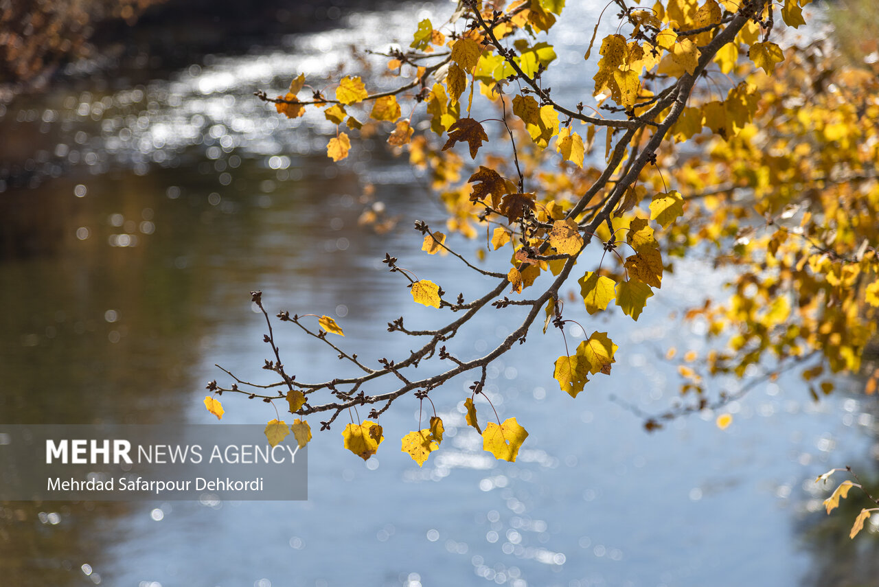 استان،رودخانه،چهارمحال،بختياري،چشمه،فصل،رود
