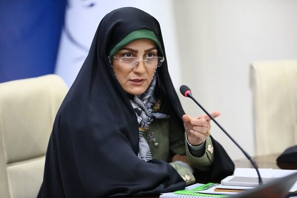 عابدینی: با آسیب‌های اجتماعی نوپدید مواجه هستیم