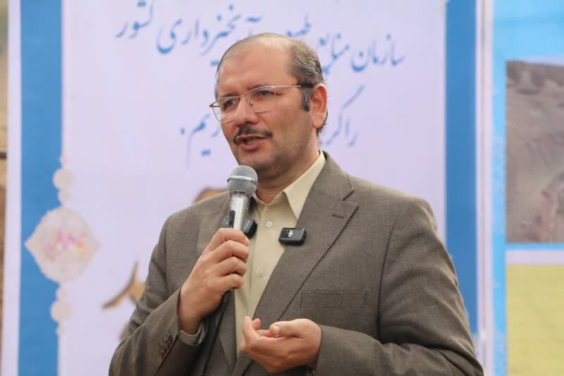 خشکیدگی بلوط در ۴ میلیون هکتار از جنگل‌های زاگرس