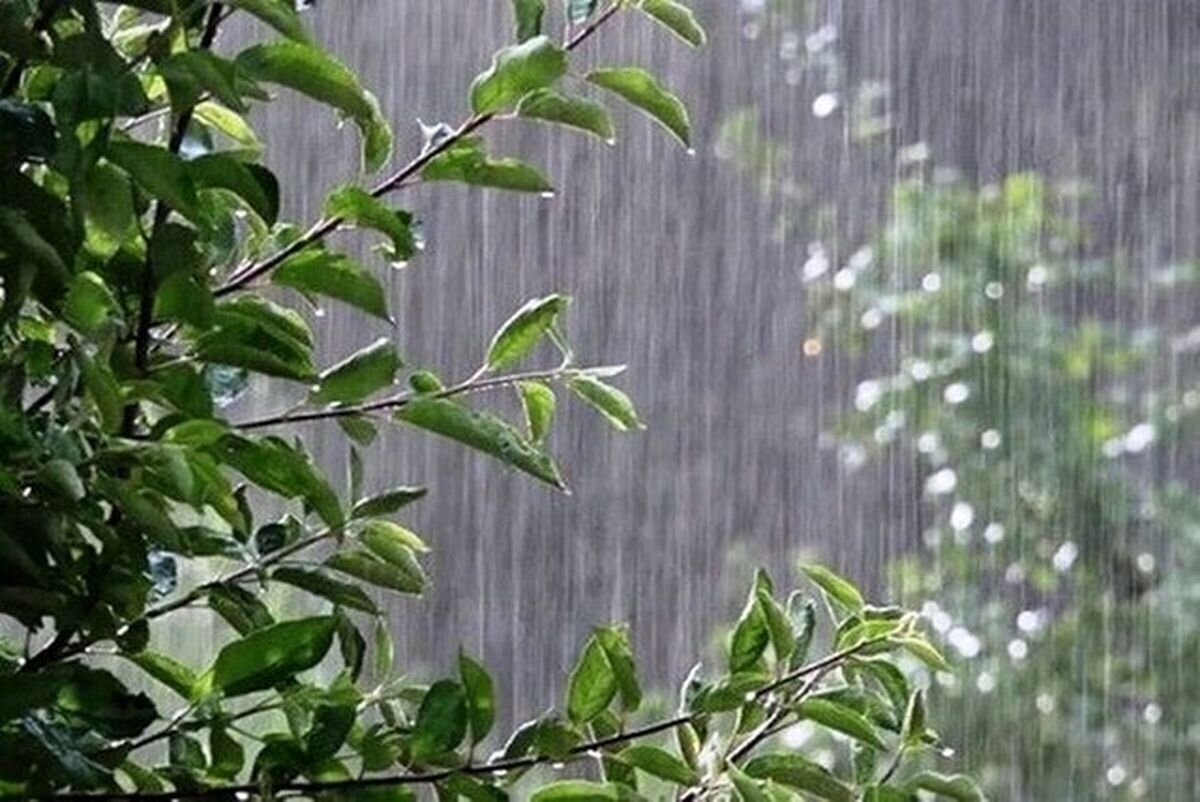 بارش شدید تگرگ به مزارع کشاورزی شهرستان چوار خسارت زد