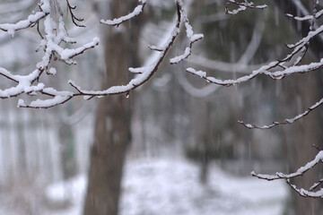 أول ثلوج الخريف تكسو دماوند وجمال بحيرة تار