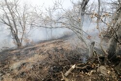 آتش‌سوزی گسترده در روستای الیت مهار شد