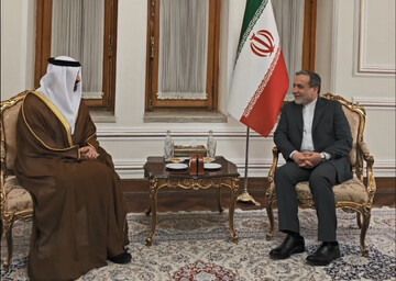 بالفيديو، السفير الإماراتي الجديد يقدم أوراق اعتماده إلى عراقجي