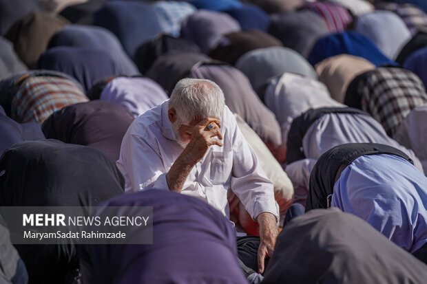 اقامه نماز باران در حرم شاهچراغ (ع)