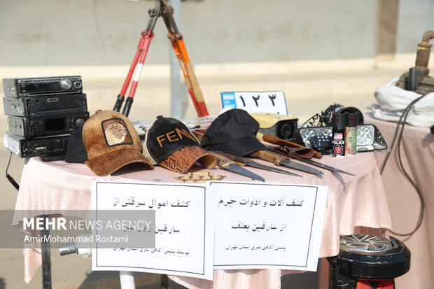 کشفیات پلیس شرق استان تهران