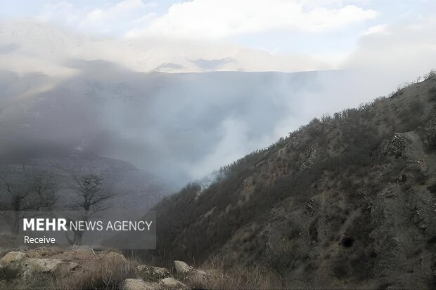 عملیات اطفای حریق در جنگل های چالوس