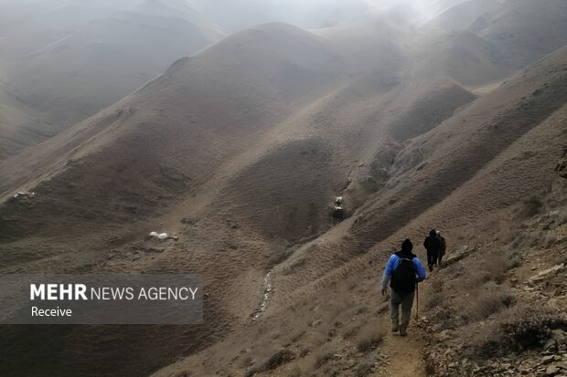 عملیات اطفای حریق در جنگل های چالوس