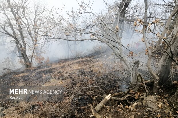 عملیات اطفای حریق در جنگل های چالوس