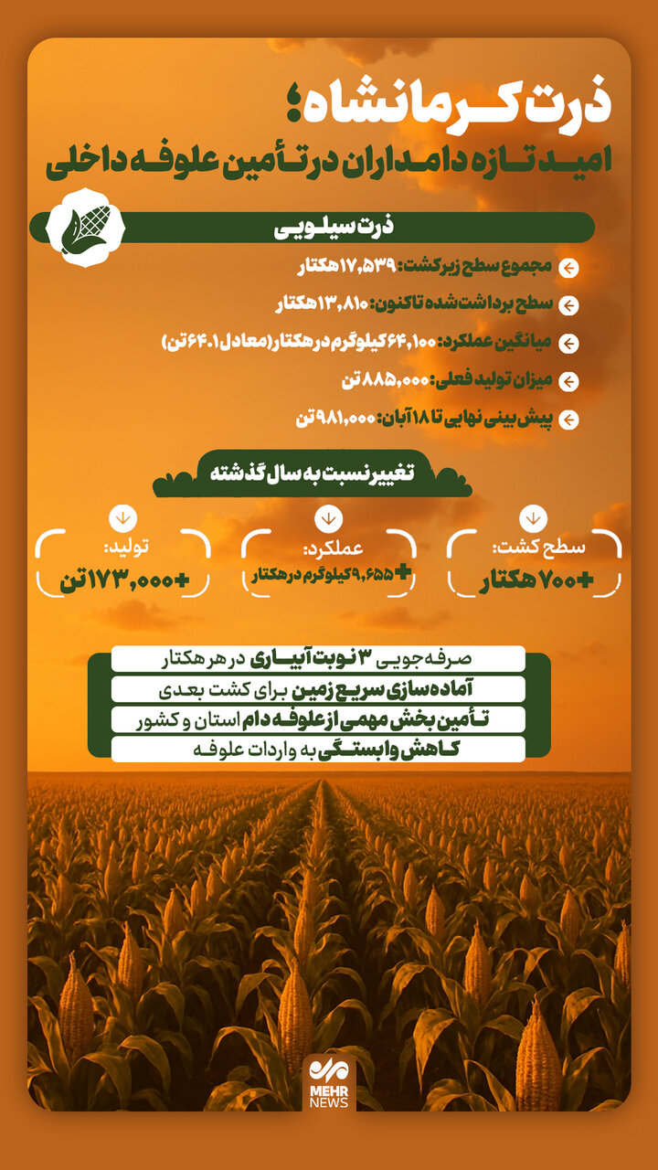 اینفوگرافیک؛ ذرت کرمانشاه امید تازه دامداران در تأمین علوفه داخلی