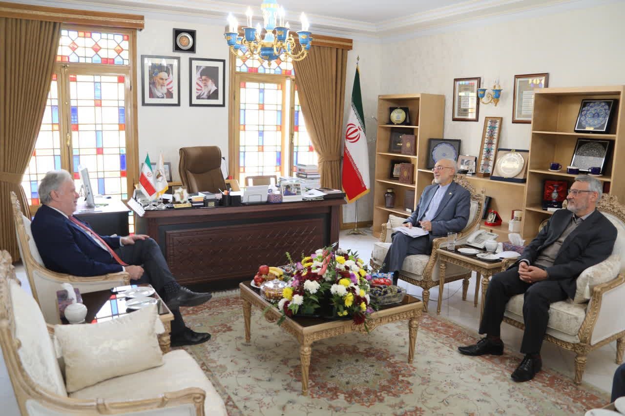 گزارشگر سازمان ملل با رئیس بنیاد ایرانشناسی دیدار کرد