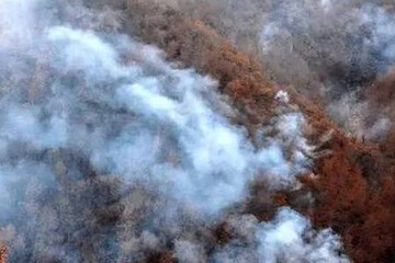 VIDEO:  Ilyushin firefighting aircraft over Chalus forests