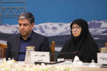 انصاری: رویکردهای زیست‌محیطی در سیاستگذاری‌های توسعه الزامی است