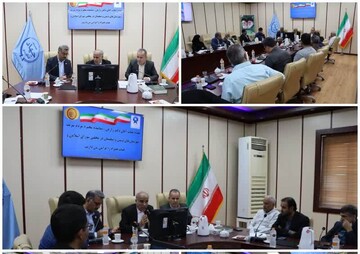 امینی: شیلات از محورهای اصلی توسعه اقتصادی استان بوشهر است