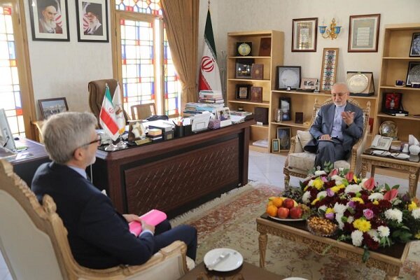 سفیر فرانسه با رئیس بنیاد ایرانشناسی دیدار کرد