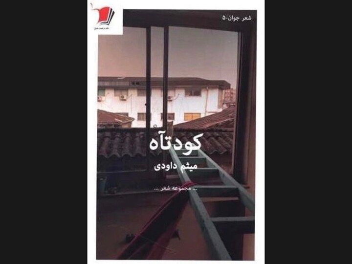دو مجموعه‌شعر آماده چاپ دارم؛ صداهای جوان در شعر امروز شنیده نمی‌شود