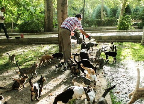 خیانت به محیط زیست با ژست حمایت از حیوانات