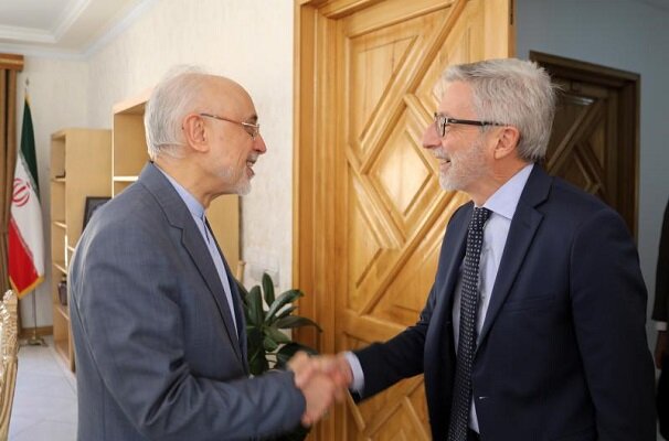 ايران،فرانسه،روابط،فرهنگي،صالحي،سفير،تاريخي،علمي،بنياد،غرب،ح ...