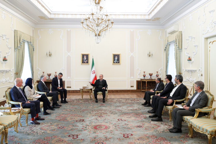 ايران،اتريش،سفير،روابط،جمهوري،فردريش،پزشكيان،احترام،تأكيد،مس ...