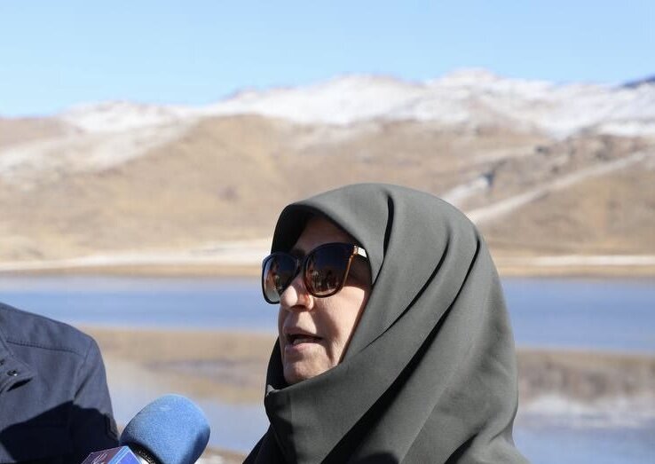 معاون رئیسجمهور: وضعیت دریاچه نئور در دستور کار حفاظت محیط زیست است معاون رئیسجمهور: وضعیت دریاچه نئور در دستور کار حفاظت محیط زیست است