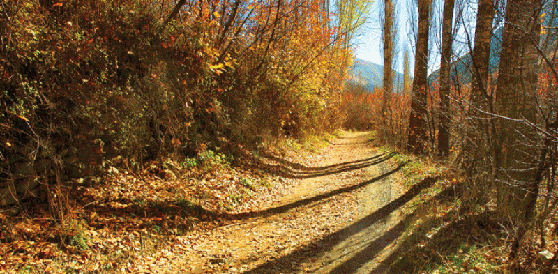 Çalus: Her virajda muhteşem manzaralar sunan bir rota(+video)