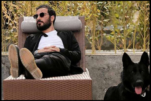 قصه موسیقی یک «قورباغه» تلخ که به سختی قورت داده شد!