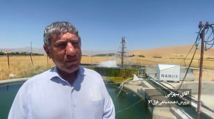 نانوحباب؛ فناوری که گلخانه و تصفیهخانه تهران را نجات داد