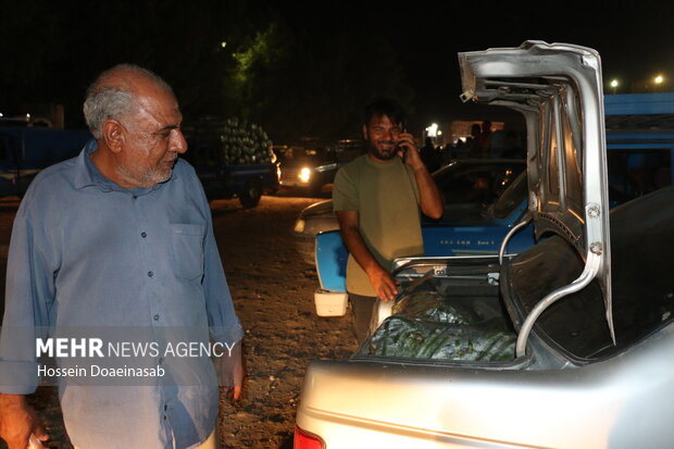 بارگیری خیار هشتبندی و ارسال به سراسر کشور