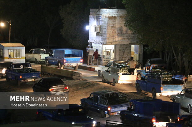 بارگیری خیار هشتبندی و ارسال به سراسر کشور