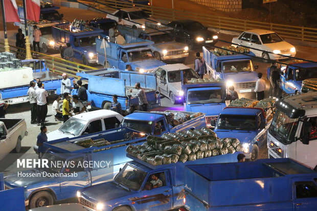 بارگیری خیار هشتبندی و ارسال به سراسر کشور