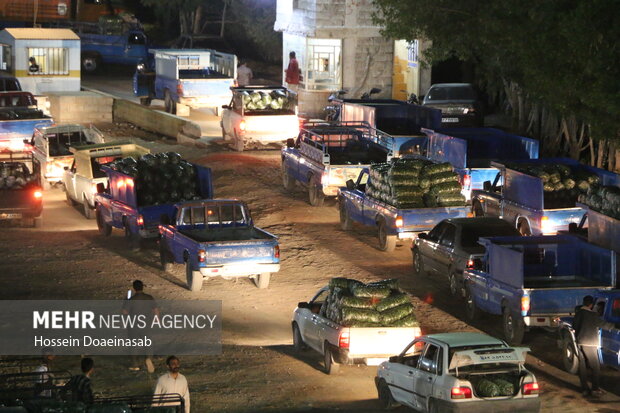 بارگیری خیار هشتبندی و ارسال به سراسر کشور