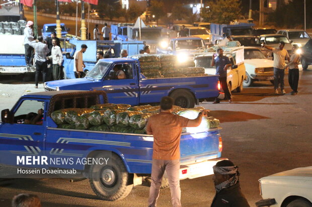 بارگیری خیار هشتبندی و ارسال به سراسر کشور